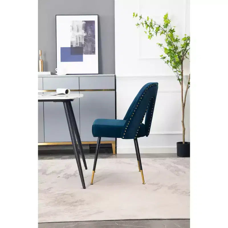 Silla de comedor moderna contemporánea de terciopelo - Tachuelas, patas de metal negro con puntas doradas