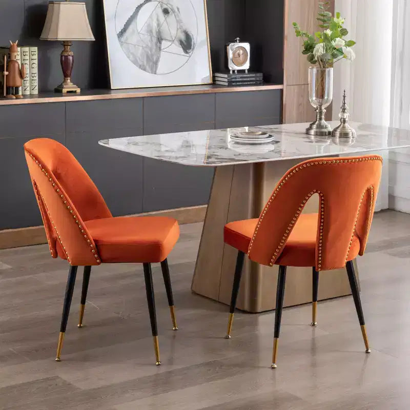 Silla de comedor moderna contemporánea de terciopelo - Tachuelas, patas de metal negro con puntas doradas