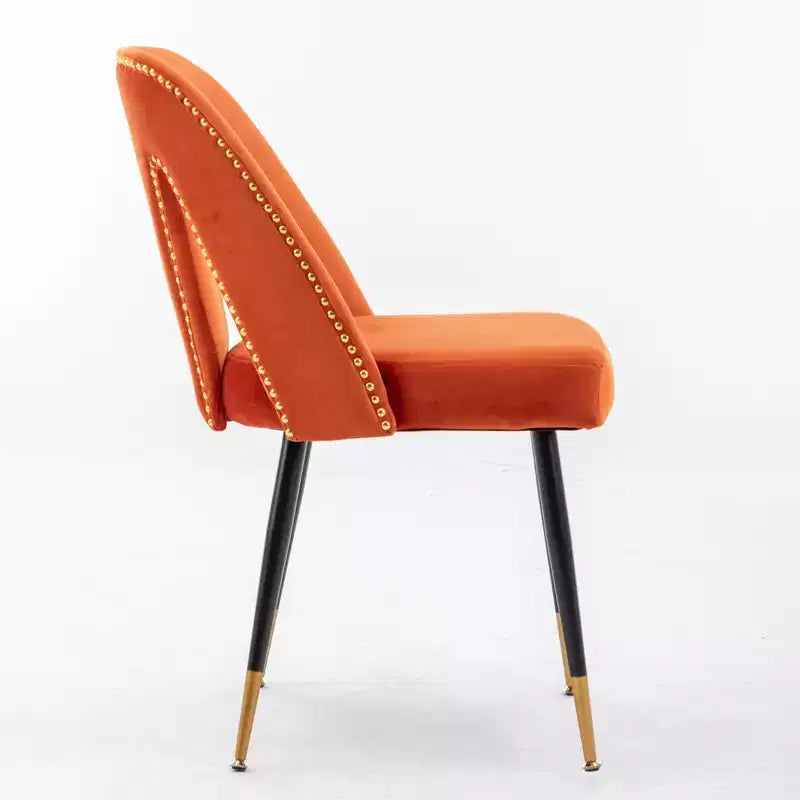 Silla de comedor moderna contemporánea de terciopelo - Tachuelas, patas de metal negro con puntas doradas